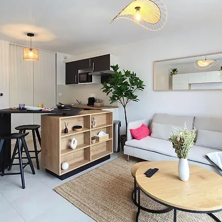 Appartement Proche Airbus Tournefeuille